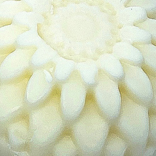 Solid Conditioner Bars by Aura