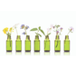 Aroma Advice Services